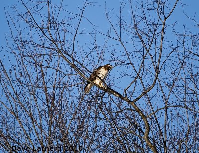 DSC_7345.jpg