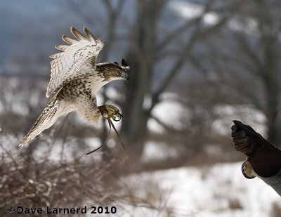 DSC_7473.jpg