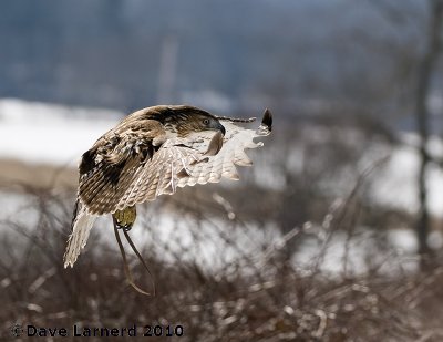 DSC_7472.jpg