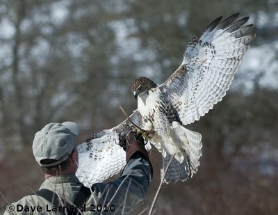DSC_7462.jpg