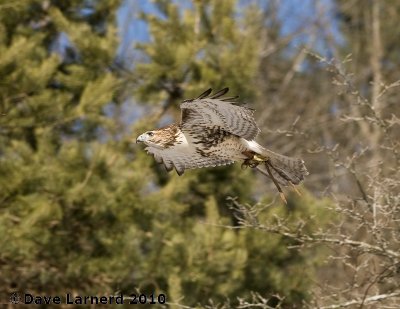 DSC_7453.jpg