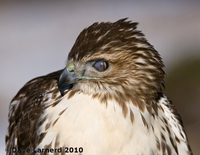 DSC_7405.jpg