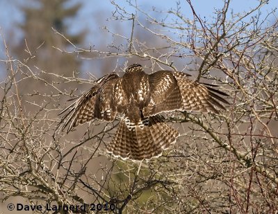 DSC_7467.jpg