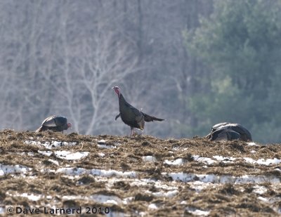 DSC_7500.jpg