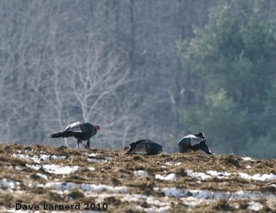 DSC_7495.jpg