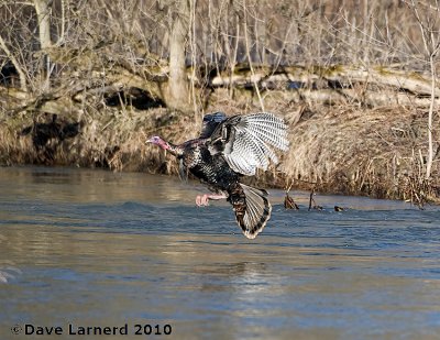 DSC_7970.jpg