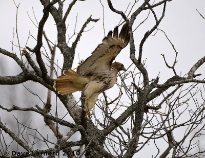 DSC_8376.jpg