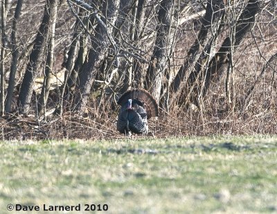 DSC_8465.jpg