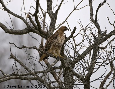 DSC_8374.jpg