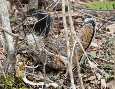 DSC_8748.jpg