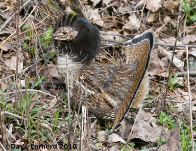 DSC_8736.jpg
