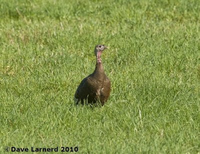 DSC_8980.jpg