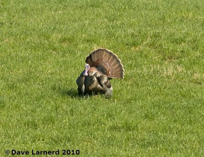 DSC_9018.jpg