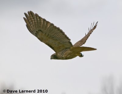 DSC_9061.jpg