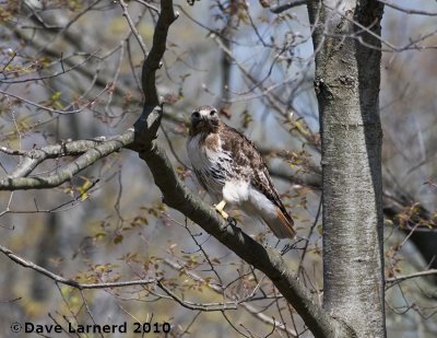 DSC_9054.jpg