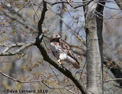 DSC_9052.jpg