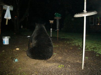 smokey4.25.5.jpg