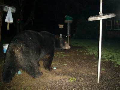 smokey4.25.4.jpg
