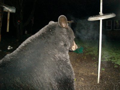 smokey4.25.3.jpg