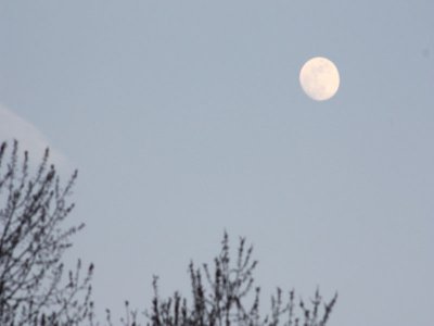 day full moon 1.jpg