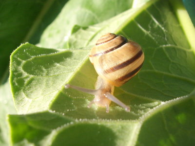 GEDC6385.jpg
