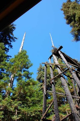 Roaring Camp & Big Trees RR, September 2007