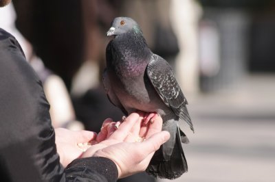 IMG_1432.JPG