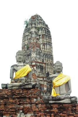PICT8466.JPG