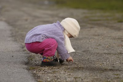 pebble picking