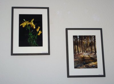 wall-w1-3909-sm.JPG