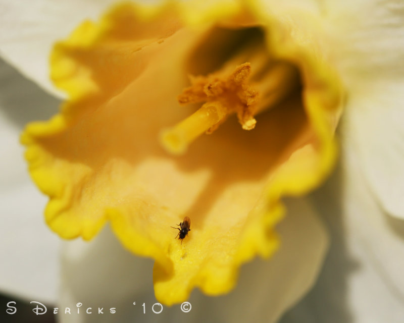 IMG_3303w.jpg