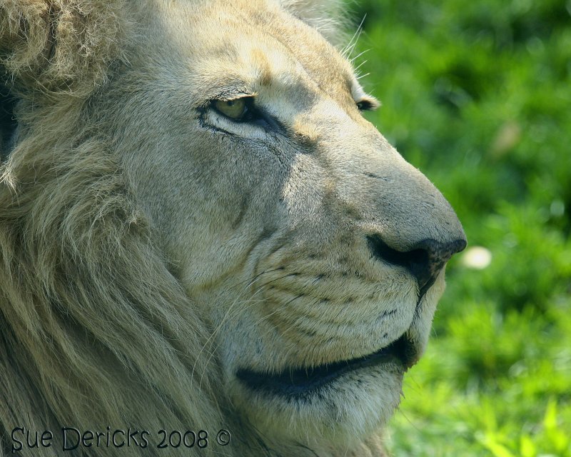IMG_6180bc.jpg