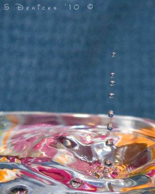 IMG_2873w.jpg