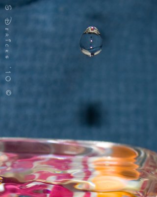 IMG_2874w.jpg