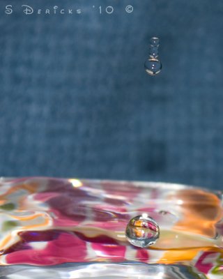 IMG_2881w.jpg
