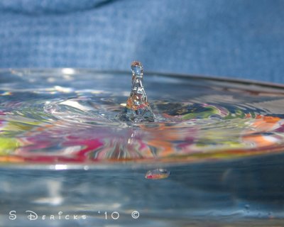 IMG_2951w.jpg