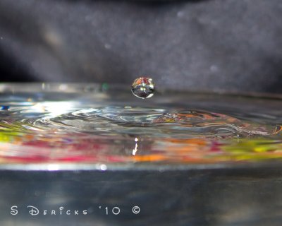 IMG_2967w.jpg