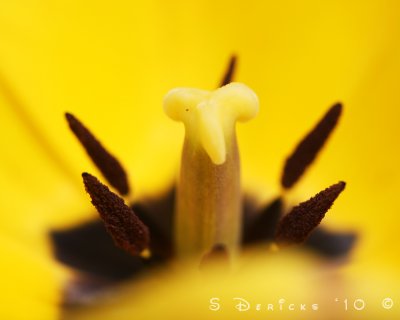 IMG_3298w.jpg