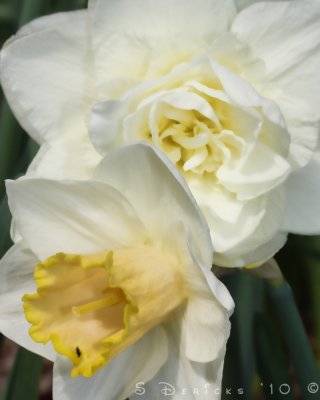 IMG_3313w.jpg