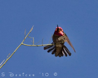 IMG_3383w.jpg