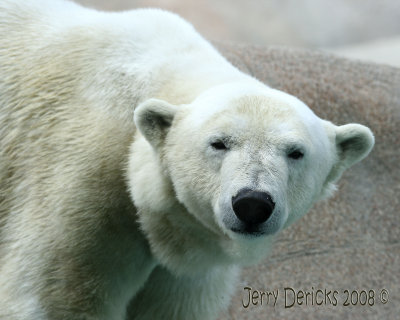 IMG_5703bc.jpg