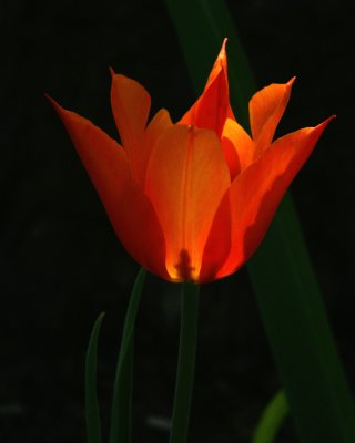 IMG_6110bc.jpg