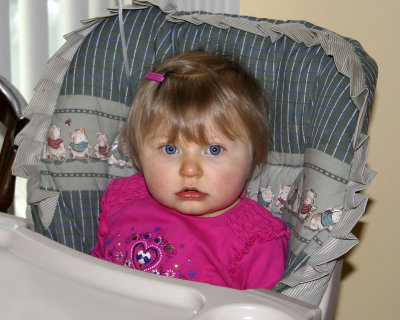 One year old