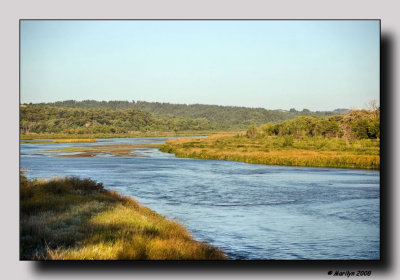 Muddy Water