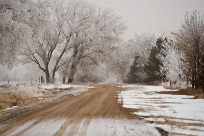 'Winter Wonderland'