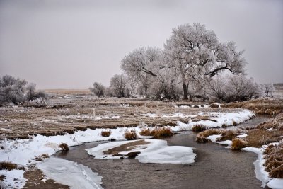 'Winter Wonderland'