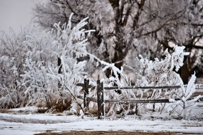 'Winter Wonderland'