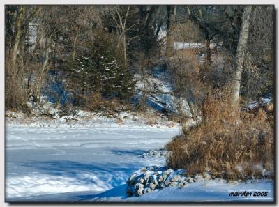 'Snow ,  ice ... and an elk or two'