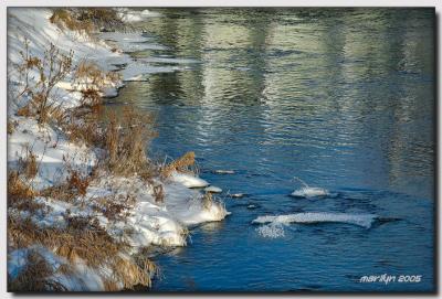 'Snow ,  ice ... and an elk or two'