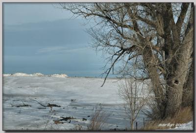 The frozen tundra beginning to melt ... a little!!